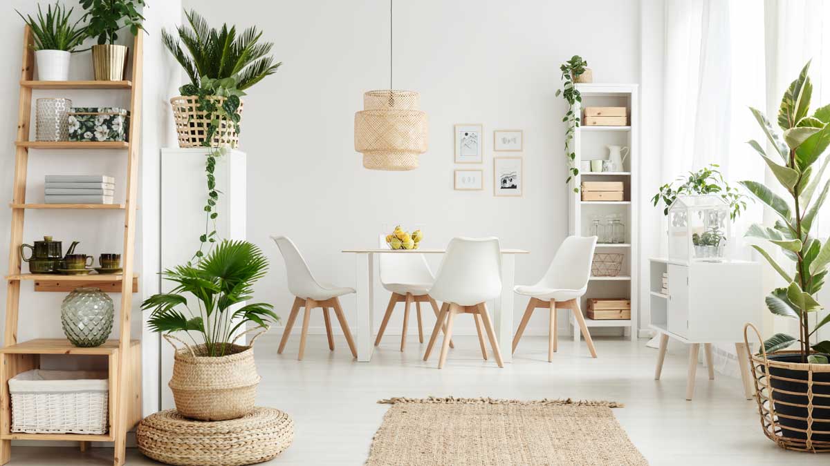 Levi's Intetior design